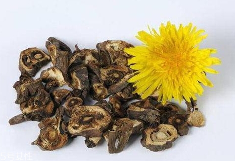 蒲公英茶超市有賣的嗎？去藥房看看