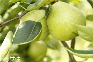 梨子煮熟吃有什么好處？熟梨的常見吃法