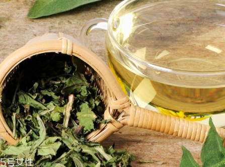 蒲公英茶能減肥嗎？要這樣搭配
