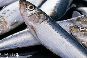 鱈魚為什么沒(méi)有頭 原因你知道多少