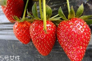 寶寶咳嗽可以吃草莓嗎？看是什么類型的咳嗽