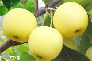 哺乳期吃梨有什么好處？梨子能做面膜