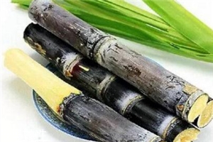 冬季吃甘蔗有什么好處？它被稱為冬季人參