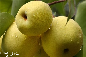 晚上吃梨子會(huì)胖嗎？梨不能和開水一起吃