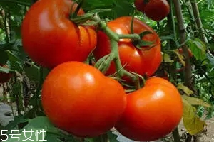 空腹不能吃什么？這4種最好不要吃