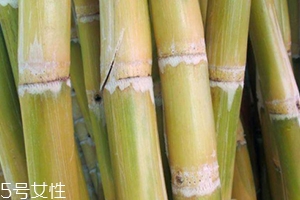 甘蔗吃多了對牙齒好嗎？有可能損傷牙齒