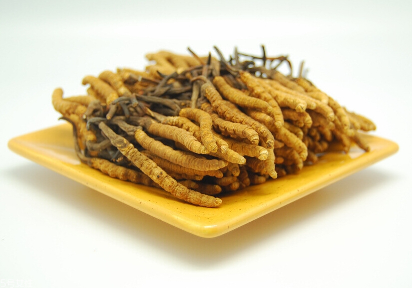 吃冬蟲夏草的好處有哪些？四大好處任你選