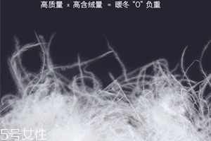 lets diet羽絨褲多少錢？lets diet羽絨褲保暖又修身