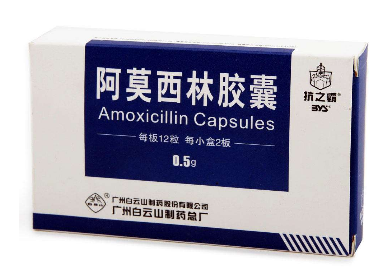 阿莫西林可以和牛奶一起吃嗎？牛奶和阿莫西林不沖突