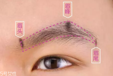 眉型常見失誤有哪些？眉頭壓實(shí)很難看