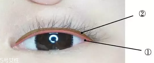 內(nèi)眼線一定要畫嗎？畫好睫毛根部