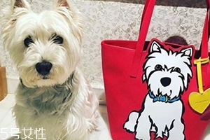 marc tetro是什么牌子？美國高性價比包包品牌