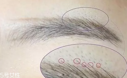 自然不做作的毛流眉怎么畫？紋理清晰有弧度