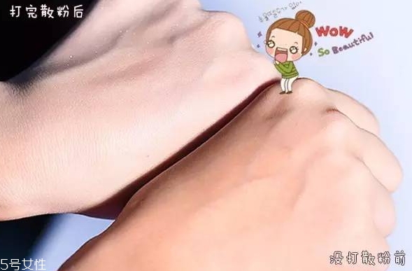 紀(jì)梵希散粉和悅詩(shī)風(fēng)吟散粉哪個(gè)好？