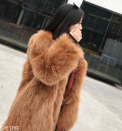 皮草和貂哪個(gè)貴？它們的價(jià)值你清楚嗎