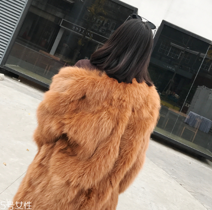 皮草和貂哪個(gè)貴？它們的價(jià)值你清楚嗎