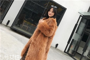 皮草和貂哪個(gè)貴？它們的價(jià)值你清楚嗎