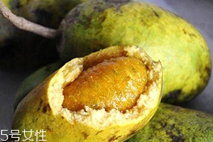 牛卵坨孕婦可以吃嗎？看屬于什么懷孕階段