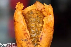牛卵坨籽可以吃嗎？看看它的神奇功效