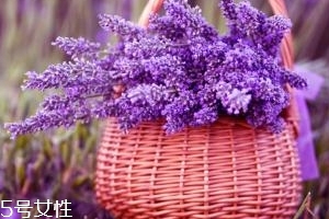 薰衣草精油能防曬嗎？能隔離紫外線