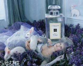 女士香水什么牌子好？6款入門級(jí)香水推薦