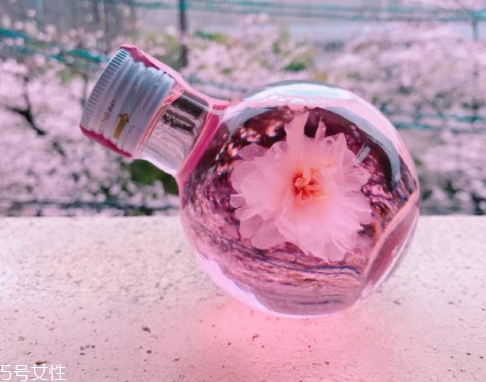 奈良金箔櫻花酒多少錢？奈良櫻花酒好喝嗎