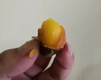 鳳眼果多少錢(qián)一斤？觀賞和口感兼具的鳳眼果