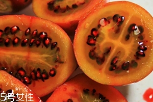 樹番茄多少錢一斤？