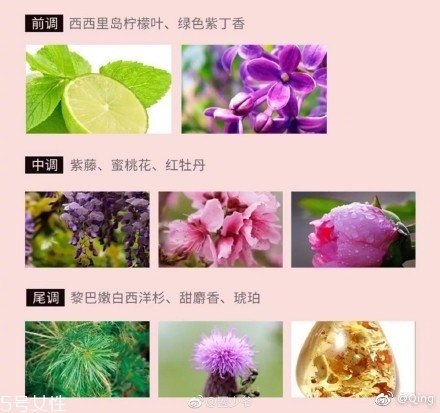瀘州老窖香水多少錢？你身上有他的白酒味