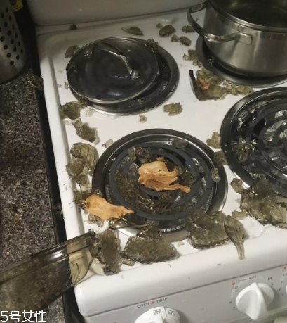 康寧鍋會爆炸嗎？請小心使用