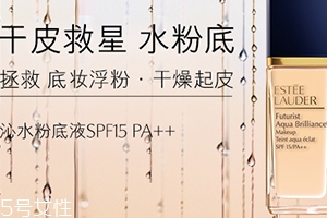 雅詩蘭黛粉底液和氣墊哪個好？