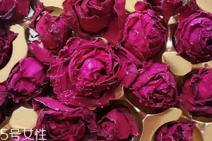 墨紅玫瑰可以天天喝嗎？玫瑰養(yǎng)顏也要適量