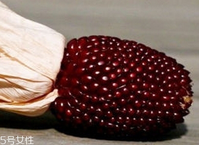 草莓玉米多少錢一斤？酷似草莓的玉米