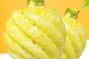 泰國迷你小菠蘿多少錢一斤？mini小菠蘿火遍泰國