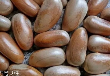 榴蓮蜜怎么吃？不同的吃法風(fēng)格