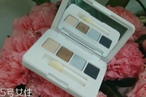 雅詩蘭黛眼影盤怎么用？