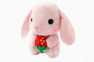 AMUSE玩偶是哪個(gè)國家的牌子？東京御宅族文化商品