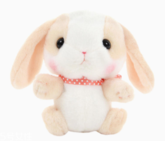 AMUSE玩偶是哪個(gè)國(guó)家的牌子？東京御宅族文化商品