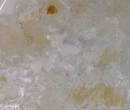 雪燕和桃膠能一起燉嗎？