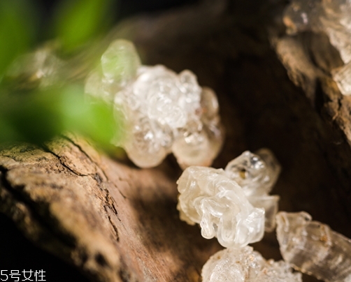 雪燕和銀耳哪個(gè)好？其實(shí)可以一起食用