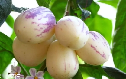 香瓜茄孕婦可以吃嗎？香瓜茄功效多
