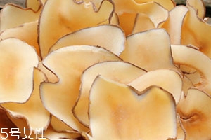 海底椰怎么吃？海底椰的做法