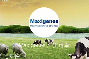 藍(lán)胖子奶粉適合什么人？成人可以喝嗎？