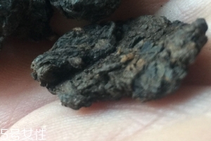 老茶頭怎么泡？泡錯了就不好喝了