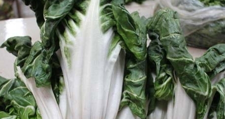 牛皮菜是發(fā)物嗎？牛皮菜有毒嗎