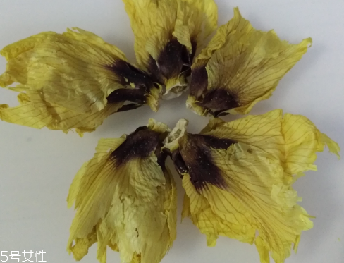 秋葵花怎樣曬干？自然風干最佳