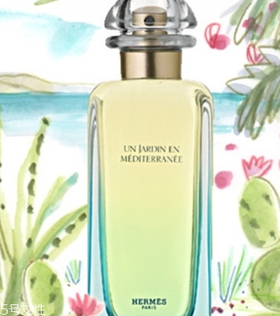 dior迪奧香水和愛馬仕香水哪個好？