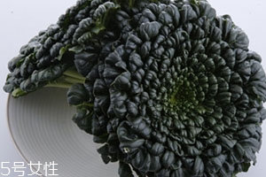 塔菜多少錢一斤？塔菜又稱菊花菜