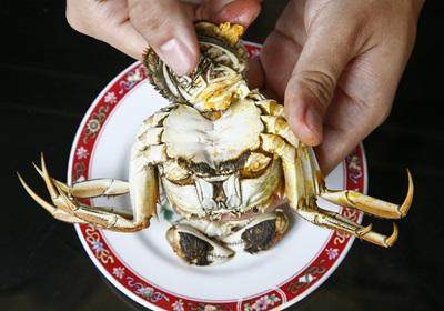 陽澄湖大閘蟹怎么吃？食陽澄湖大閘蟹注意事項