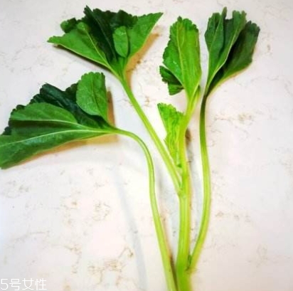 冬寒菜多少錢一斤？